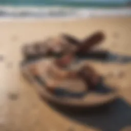 A pair of premium surf brand sandals on a rocky beach