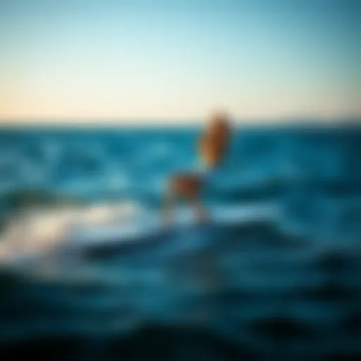 Aerodynamic Elegance of Axis Foil Boards Elegant design of Axis foil board showcasing aerodynamic features