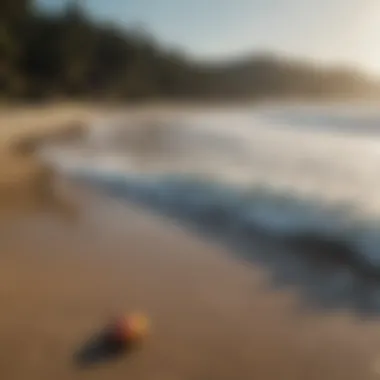 Scenic view of a beach with wave bandit skimboarders