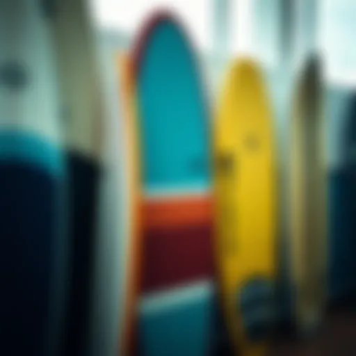 Diverse Selection of Bodyboards Variety of bodyboards on display