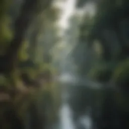 A serene river winding through a lush forest