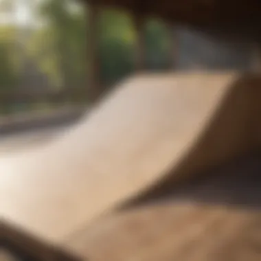 Skate ramp blueprints on a wooden table