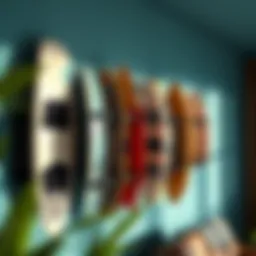 Sturdy wall-mounted boogie board rack showcasing multiple boards