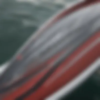 Close-up of the Cabrinha Fusion Foil's advanced design elements