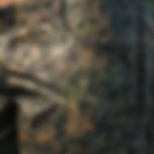 Camouflage pattern on O'Neill board shorts