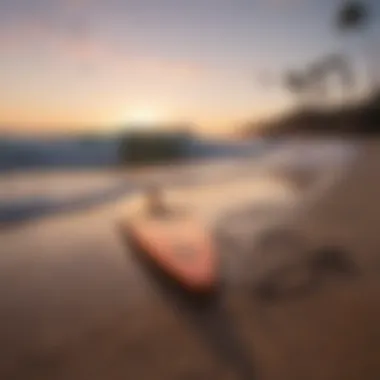 Surfboard with perfectly sized leash in sunset