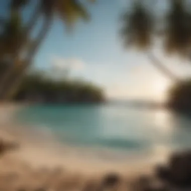 A serene view of Coconut Bay showcasing the turquoise waters and sandy shoreline.