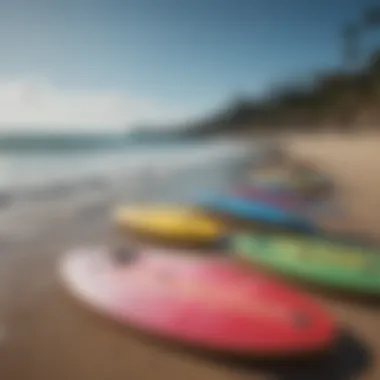 Colorful array of budget-friendly skimboards on display