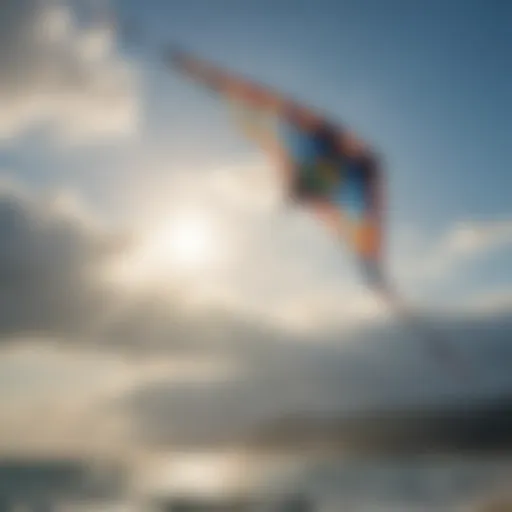 Majestic kite soaring in the clear blue sky