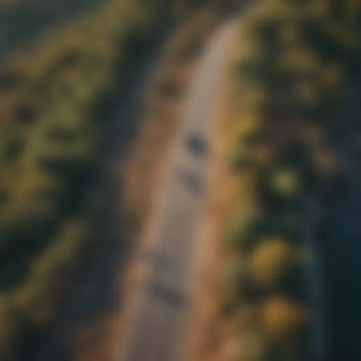 An aerial view of a longboarder cruising down a scenic hill.