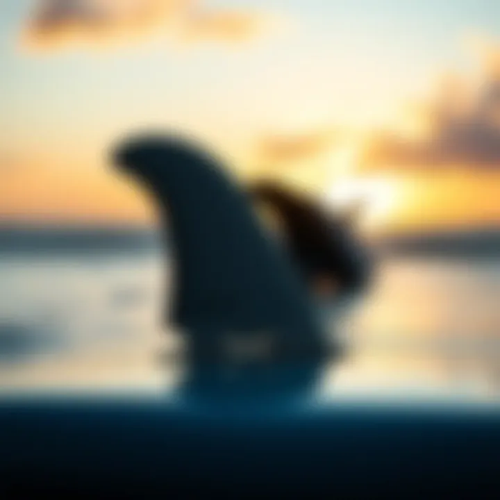 Innovative Surfboard Fin Design A close-up view of a surfboard fin showcasing innovative design.