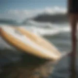 Different wake surfboard sizes on display