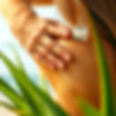 Aloe Vera Relief for Sunburn Soothing aloe vera gel application on sunburned skin