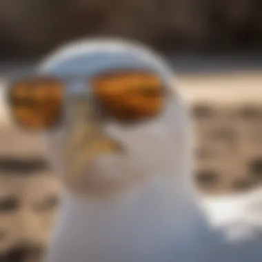 Sun Shield: Defying Glare, Embracing Clarity Costa Gannet Sunglasses - Sun Shield