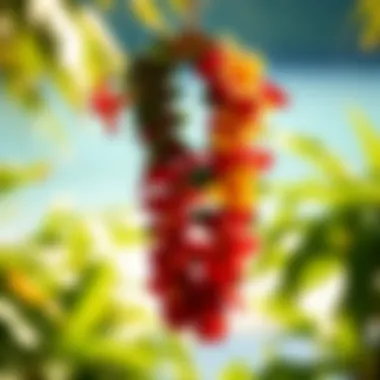 A beautifully crafted Hawaiian lei displayed on a natural background
