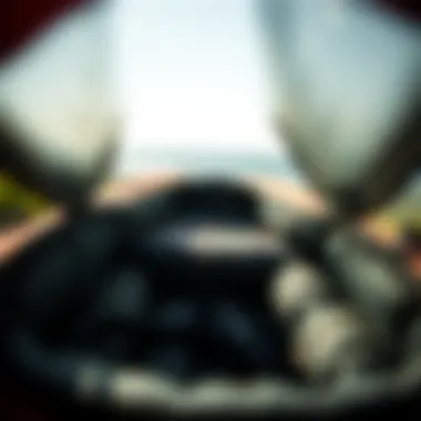 Protective Padding Inside Dakine Board Bag Interior view of a Dakine board bag with protective padding