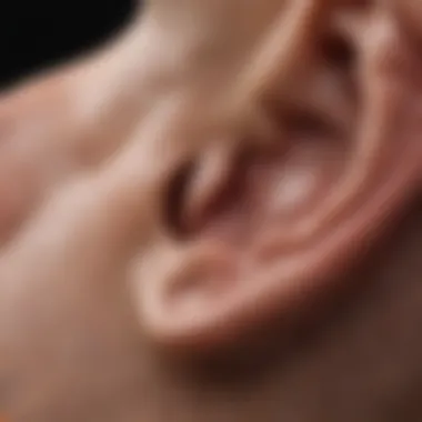 Ear Anatomy with Water Build-Up