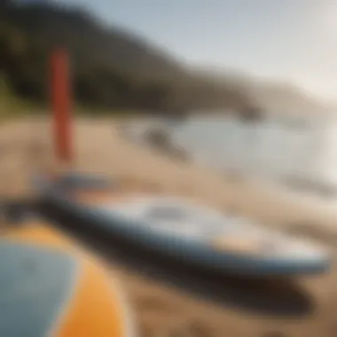 Diverse paddle boards displayed on a beach