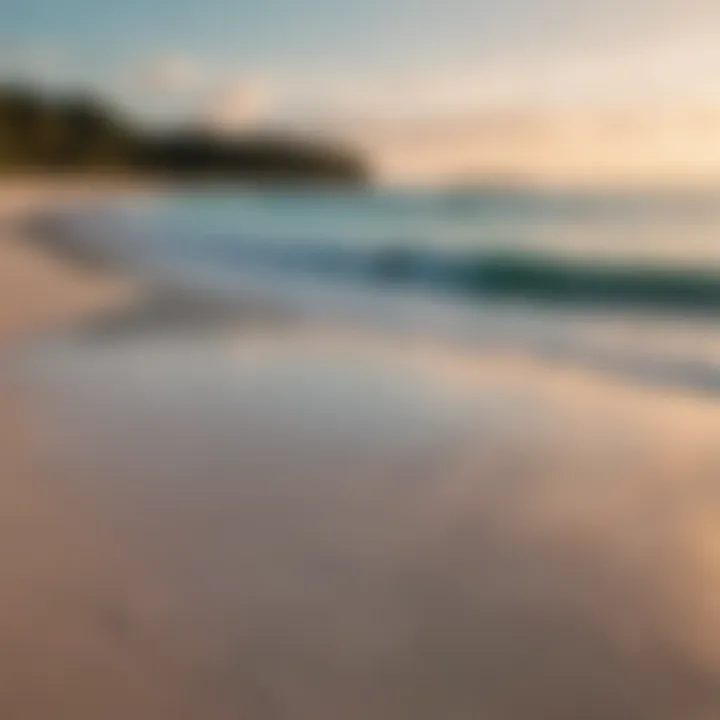 A vibrant view of Diani Beach with turquoise waters and white sand.