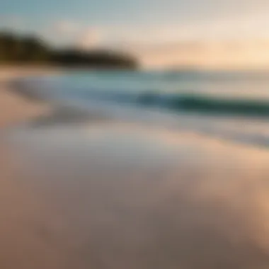 Breathtaking Diani Beach Landscape A vibrant view of Diani Beach with turquoise waters and white sand.