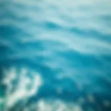 Vastness of the Pacific Ocean A breathtaking aerial view of the Pacific Ocean showcasing its vastness and blue hues