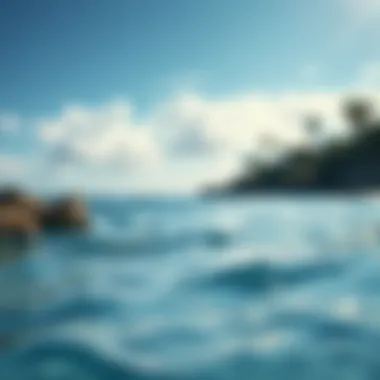 The shoreline of an island in the Pacific, symbolizing cultural heritage and connection to the ocean