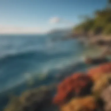 Stunning Great Barrier Reef view from above