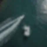 Aerial view of surfers catching waves at Honolua Bay