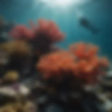 Diver exploring vibrant coral reefs in Jamaica's underwater paradise