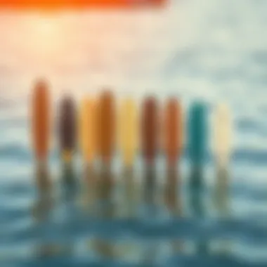 Detailed illustration of various cruiser longboard deck shapes