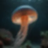 Majestic Jellyfish in Bioluminescent Waters