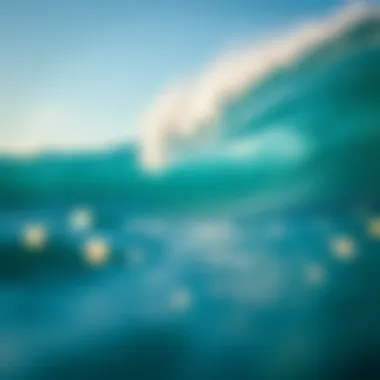 Ecological Considerations Ecological considerations of wave pools