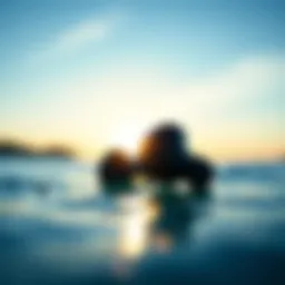 Exploring H20 Earbuds: A Deep Dive into Quality Sound for Water Sports Enthusiasts Introduction