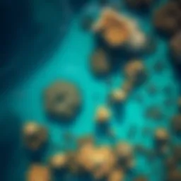 Aerial view showcasing the vibrant coral reefs
