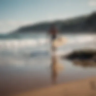 Scenic view of a serene beach with a surfer using catch surf log fin