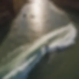 Aerial view of surfers riding the waves on the Colorado River