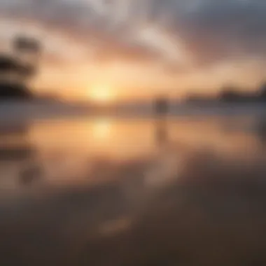 A scenic sunset view over the beach at Venice Beach