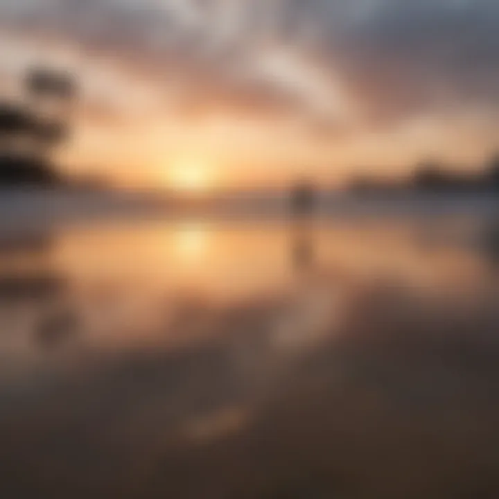 A scenic sunset view over the beach at Venice Beach