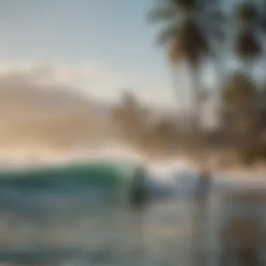 A group of surfers enjoying the vibrant surf culture at Mission Beach.