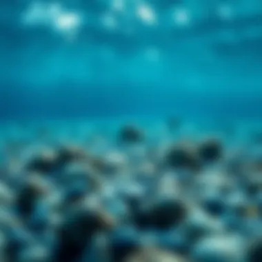 The Impact of Pollution on Ocean Health Visual representation of ocean pollution