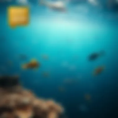 The Beauty of Marine Diversity Vast ocean expanse showcasing diverse marine life