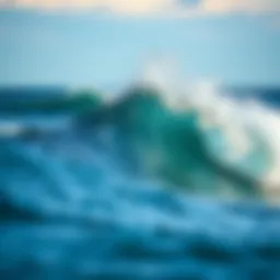 Dynamic run waves showcasing their powerful formation