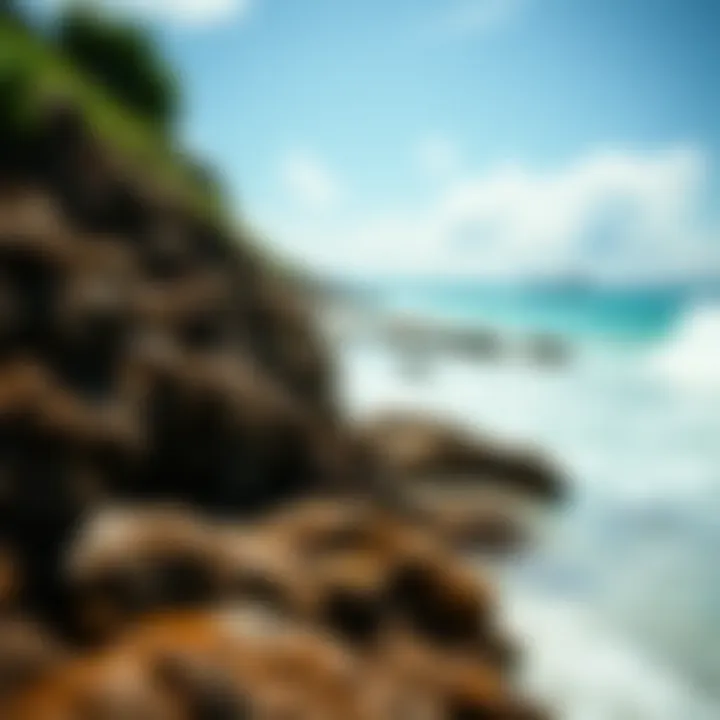 Coastal ecosystem highlighting environmental considerations of beach activities