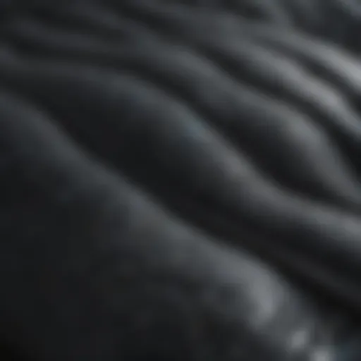 Close-up of textured neoprene material showcasing flexibility and durability