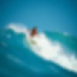 Vibrant image of a surfer riding a wave