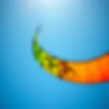 The Artistry of Competition Kites A vibrant kite soaring against a clear blue sky showcasing intricate designs