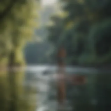 A paddleboarder cruising along a tranquil river