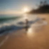 A scenic beach with perfect skimboarding waves