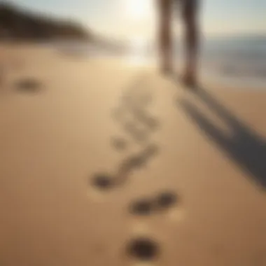 Footprints leading towards the horizon on the beach