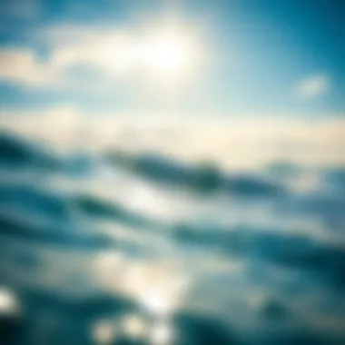 Comparative Analysis of Forecasting Applications An illustrative comparison of various forecasting apps